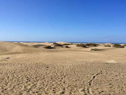 Sonne, Strand und Meer - ein Tag in Maspalomas TUI Cruises Mein Schiff