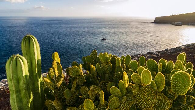 Kanaren - La Gomera